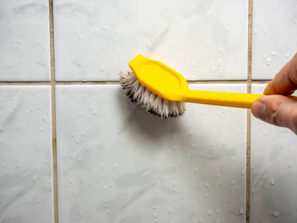 Best Certified Mold Removal  in Boiling Springs, PA